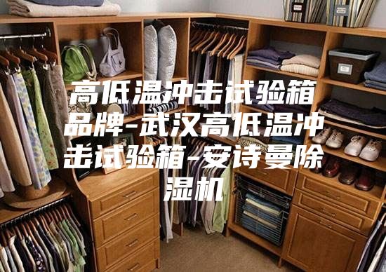 高低温冲击试验箱品牌-武汉高低温冲击试验箱-安诗曼除湿机