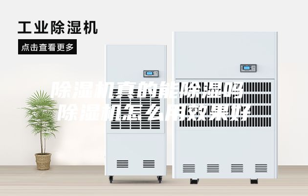 除湿机真的能除湿吗 除湿机怎么用效果好
