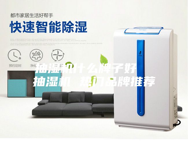 抽湿机什么牌子好  抽湿机 热门品牌推荐