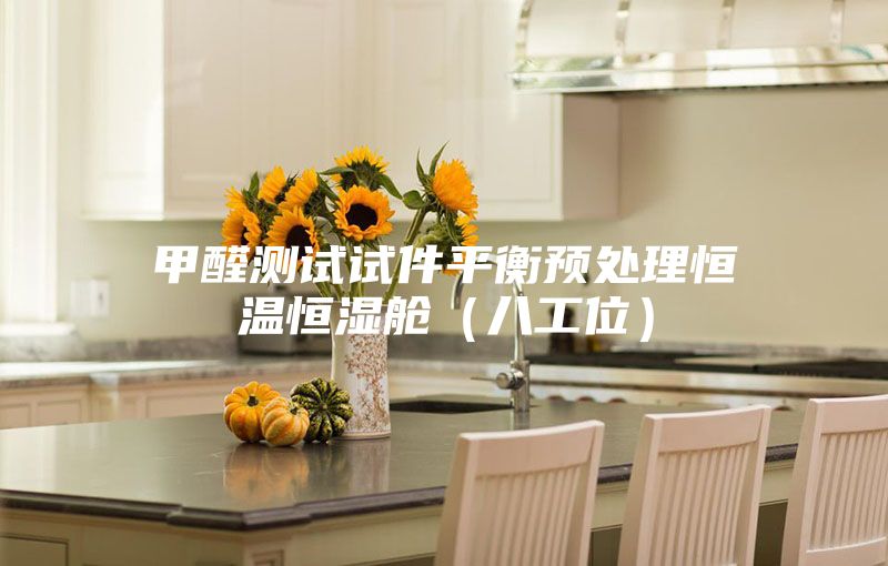 甲醛测试试件平衡预处理恒温恒湿舱（八工位）