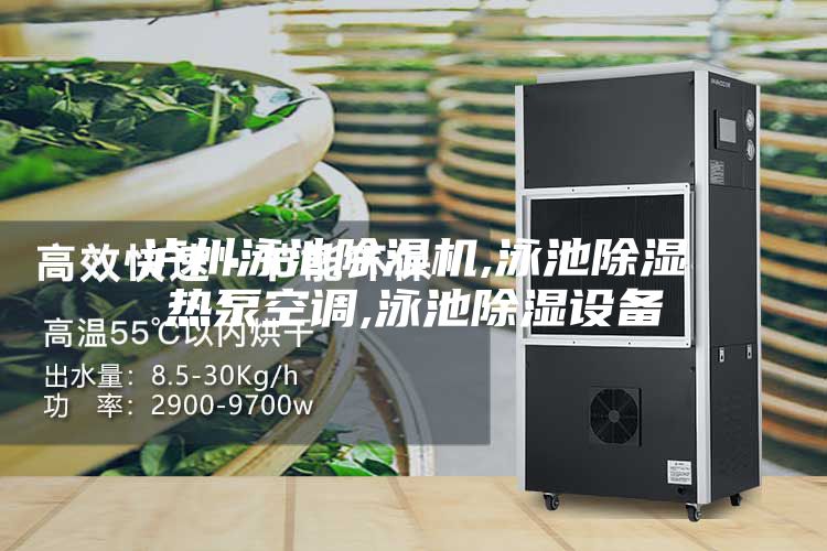 泸州泳池除湿机,泳池除湿热泵空调,泳池除湿设备