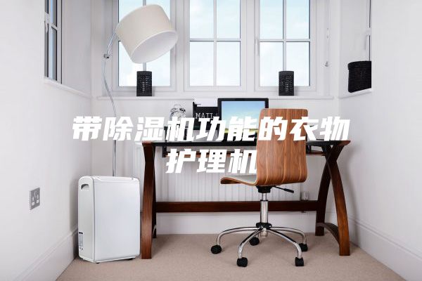带除湿机功能的衣物护理机