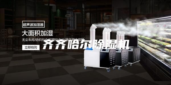 齐齐哈尔除湿机