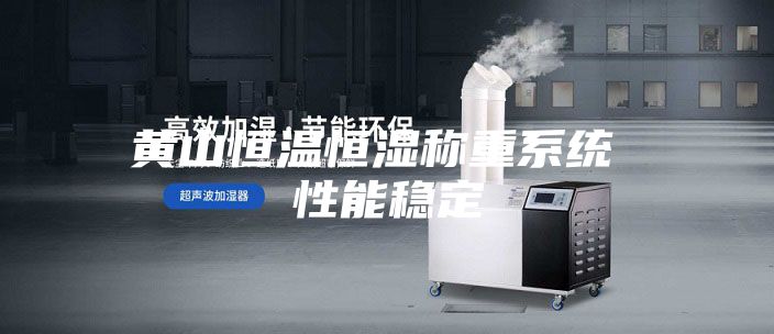 黄山恒温恒湿称重系统 性能稳定