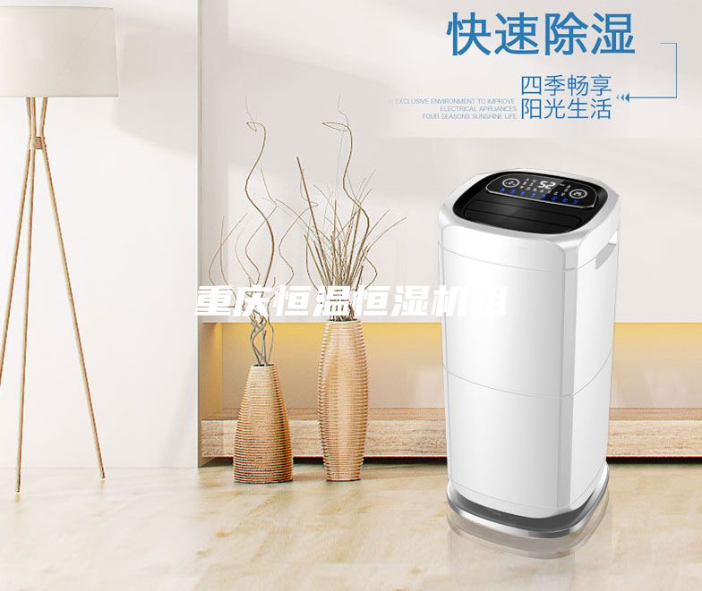 重庆恒温恒湿机组