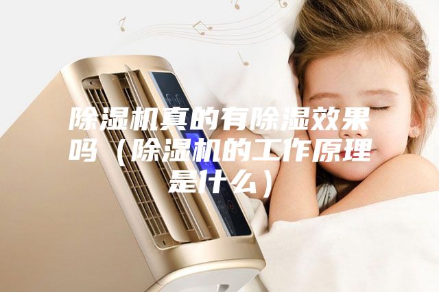除湿机真的有除湿效果吗（除湿机的工作原理是什么）