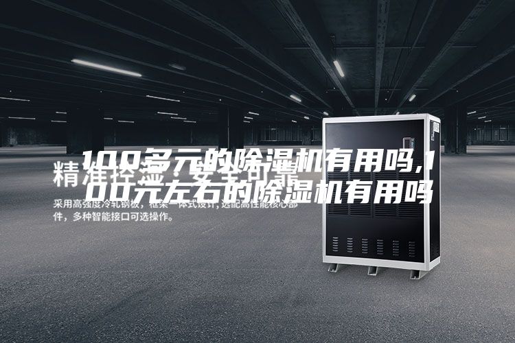 100多元的除湿机有用吗,100元左右的除湿机有用吗