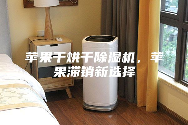苹果干烘干除湿机，苹果滞销新选择