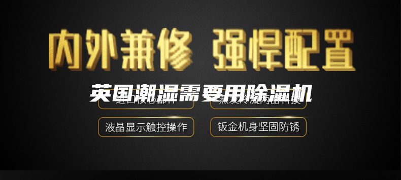 英国潮湿需要用除湿机
