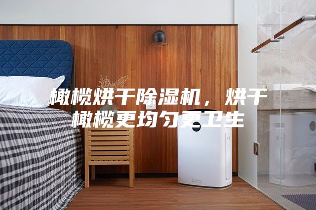 橄榄烘干除湿机，烘干橄榄更均匀更卫生