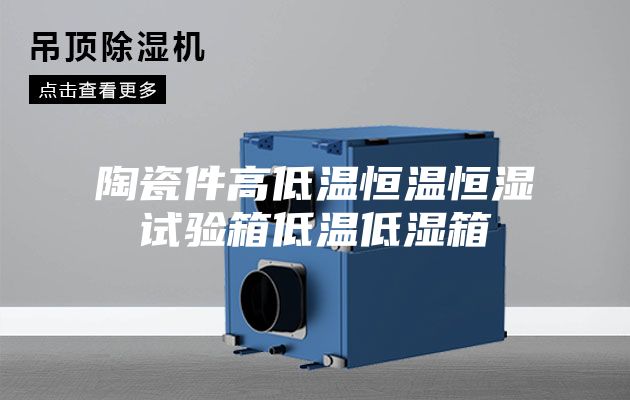 陶瓷件高低温恒温恒湿试验箱低温低湿箱