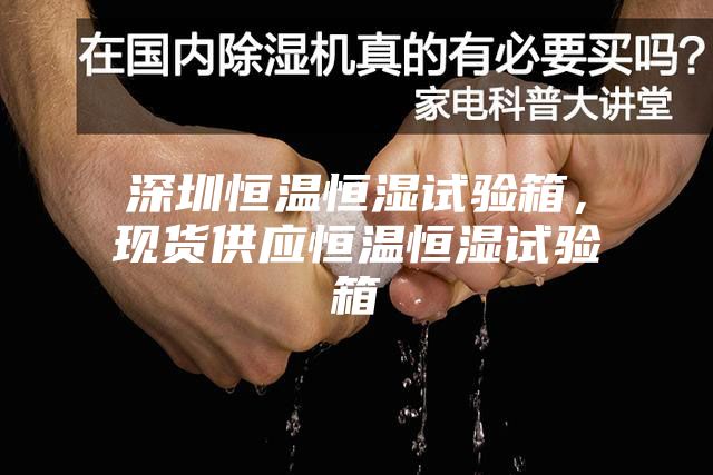 深圳恒温恒湿试验箱，现货供应恒温恒湿试验箱