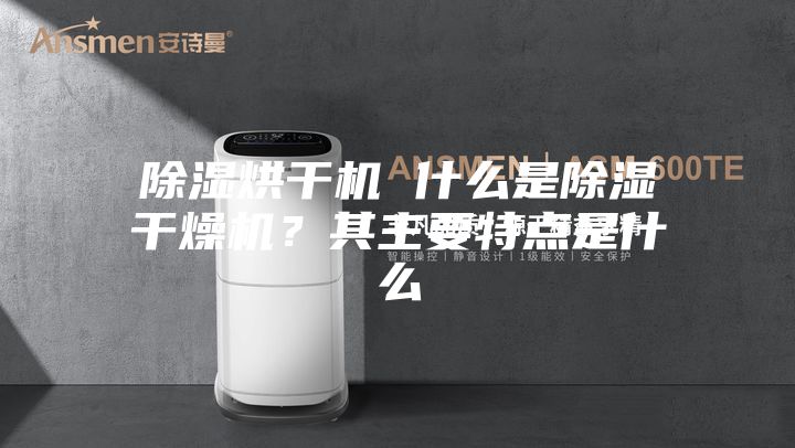 除湿烘干机 什么是除湿干燥机？其主要特点是什么