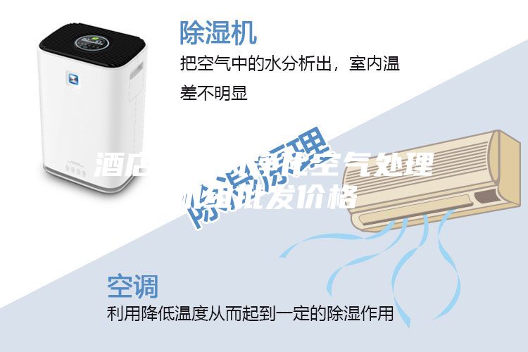 酒店用新风净化空气处理机组批发价格