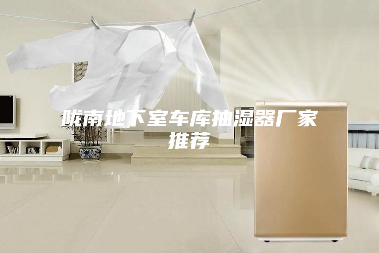 陇南地下室车库抽湿器厂家推荐