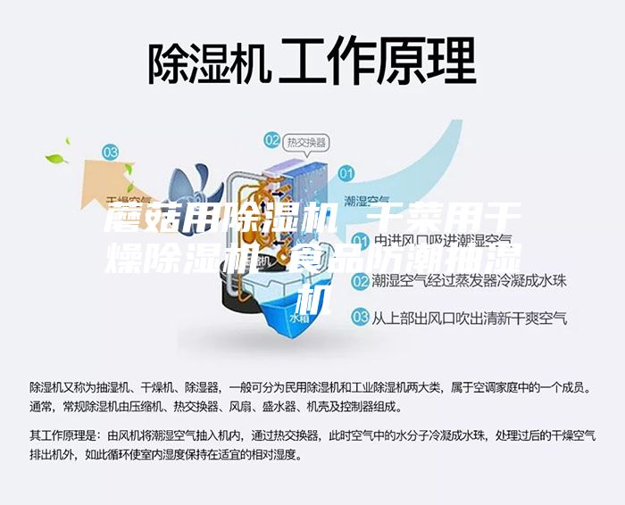 蘑菇用除湿机 干菜用干燥除湿机 食品防潮抽湿机