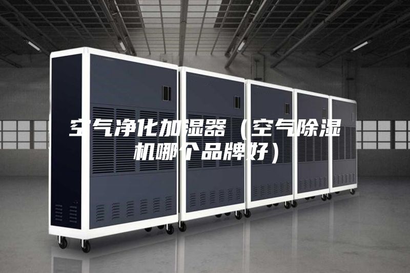 空气净化加湿器（空气除湿机哪个品牌好）