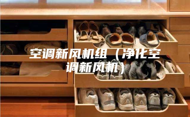 空调新风机组（净化空调新风机）