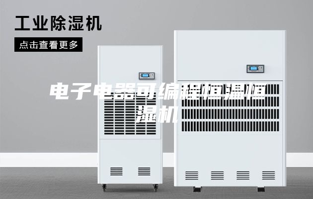电子电器可编程恒温恒湿机