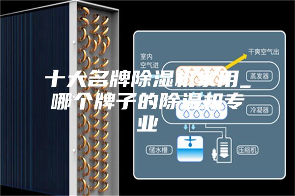 十大名牌除湿机家用_哪个牌子的除湿机专业