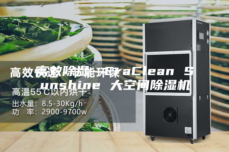 高效除湿—EraClean Sunshine 大空间除湿机