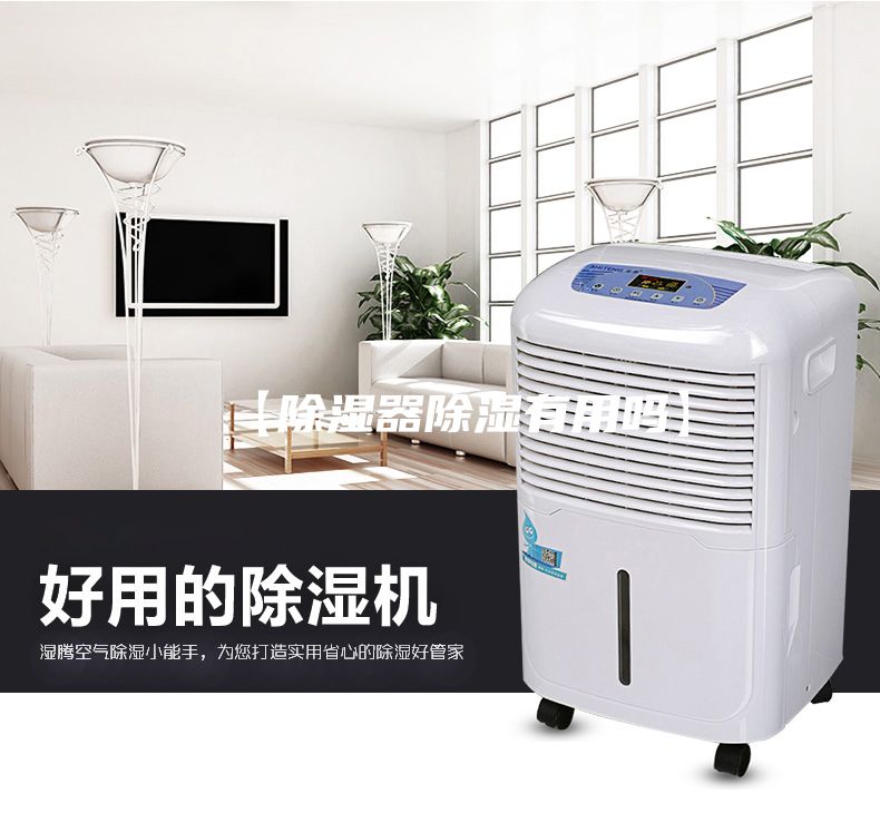 【除湿器除湿有用吗】