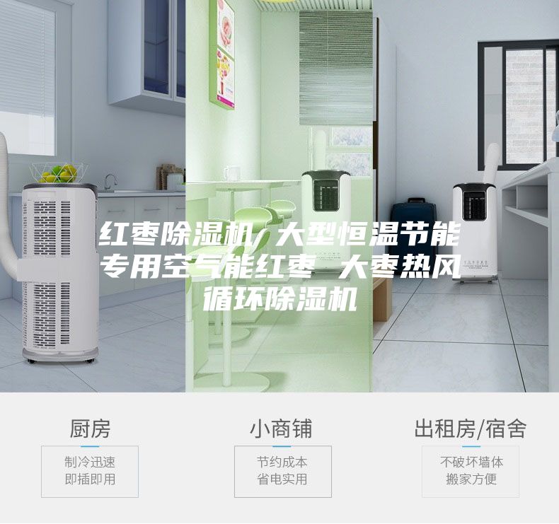 红枣除湿机 大型恒温节能专用空气能红枣 大枣热风循环除湿机