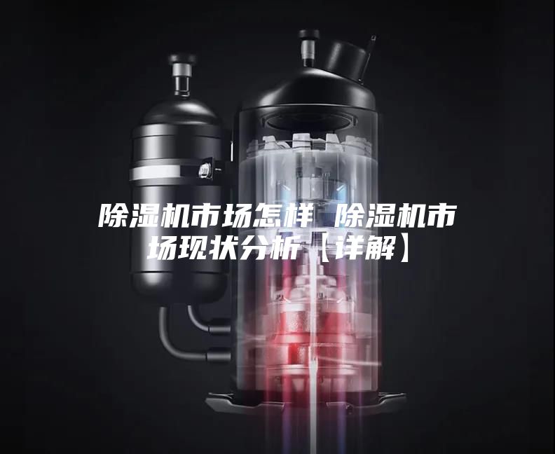 除湿机市场怎样 除湿机市场现状分析【详解】