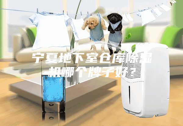 宁夏地下室仓库除湿机哪个牌子好？