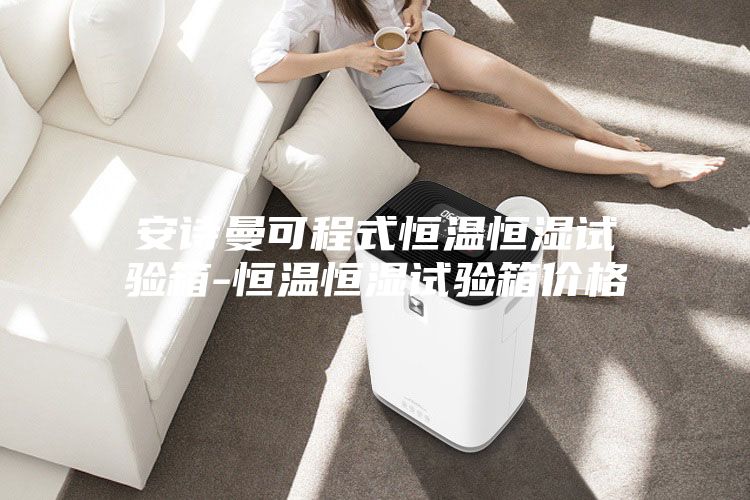 安诗曼可程式恒温恒湿试验箱-恒温恒湿试验箱价格