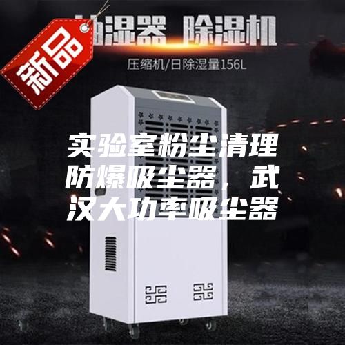 实验室粉尘清理防爆吸尘器，武汉大功率吸尘器
