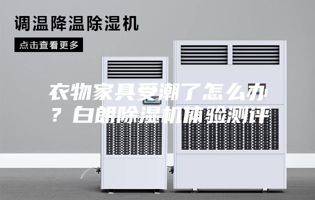 衣物家具受潮了怎么办？白朗除湿机体验测评