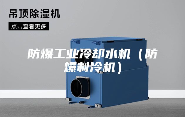 防爆工业冷却水机（防爆制冷机）