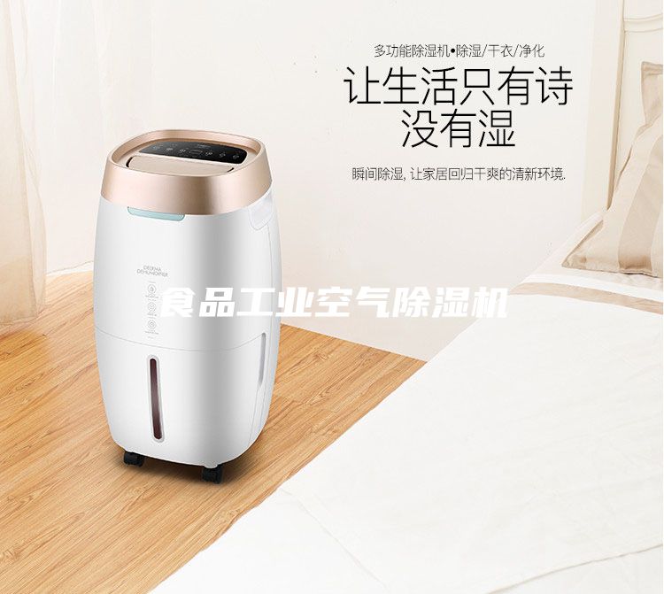 食品工业空气除湿机