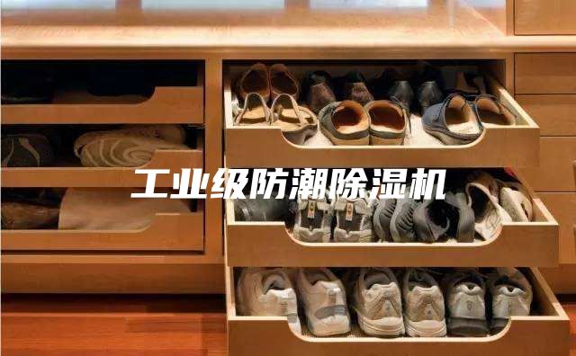 工业级防潮除湿机