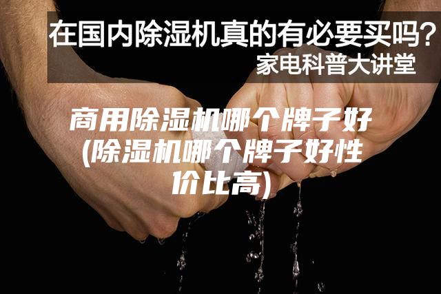 商用除湿机哪个牌子好(除湿机哪个牌子好性价比高)