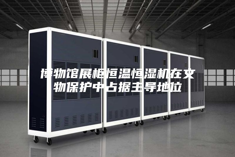 博物馆展柜恒温恒湿机在文物保护中占据主导地位