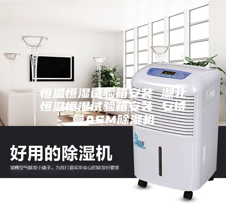 恒温恒湿试验箱安装 湖北恒温恒湿试验箱安装 安诗曼ASM除湿机