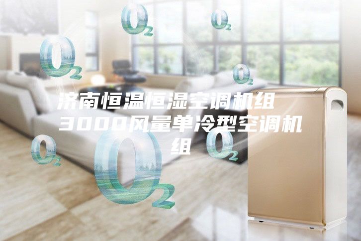 济南恒温恒湿空调机组  3000风量单冷型空调机组