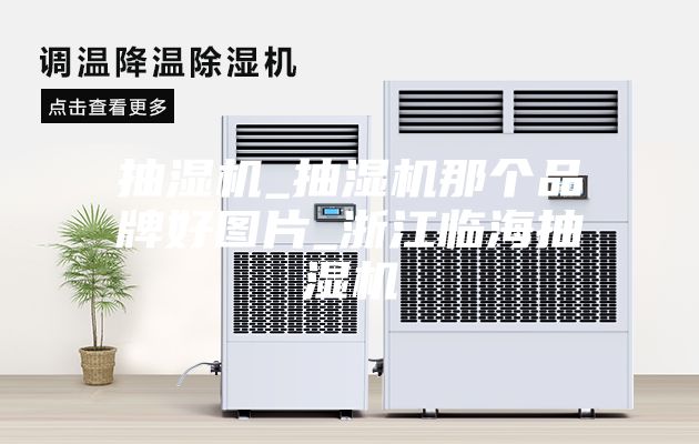 抽湿机_抽湿机那个品牌好图片_浙江临海抽湿机