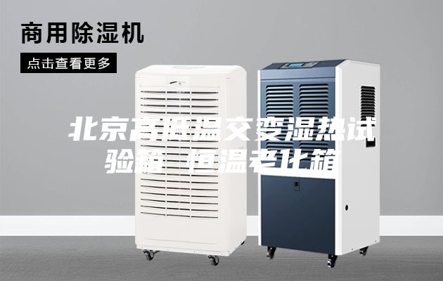 北京高低温交变湿热试验箱 恒温老化箱