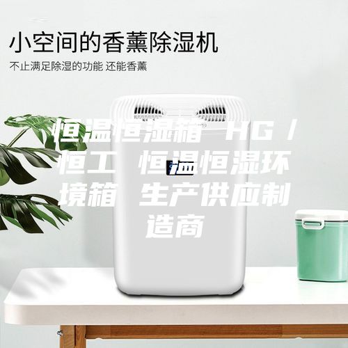 恒温恒湿箱 HG／恒工 恒温恒湿环境箱 生产供应制造商