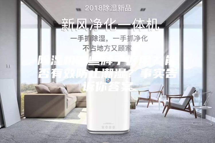 除湿机哪些牌子好用？能否有效防止潮湿？事实告诉你答案