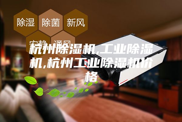 杭州除湿机,工业除湿机,杭州工业除湿机价格