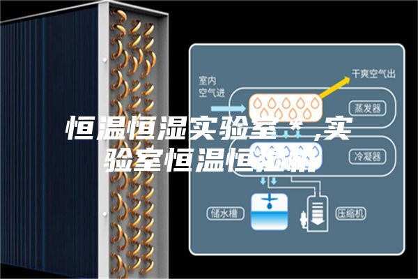 恒温恒湿实验室＊,实验室恒温恒湿机
