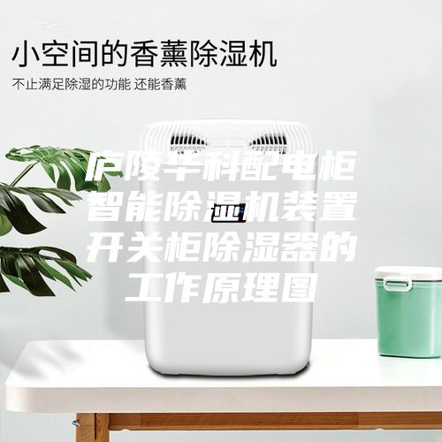 庐陵华科配电柜智能除湿机装置开关柜除湿器的工作原理图