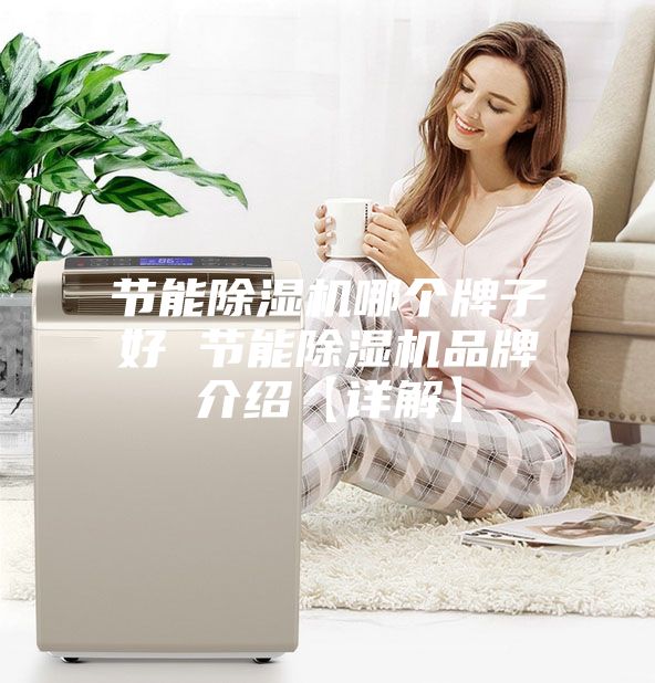 节能除湿机哪个牌子好 节能除湿机品牌介绍【详解】