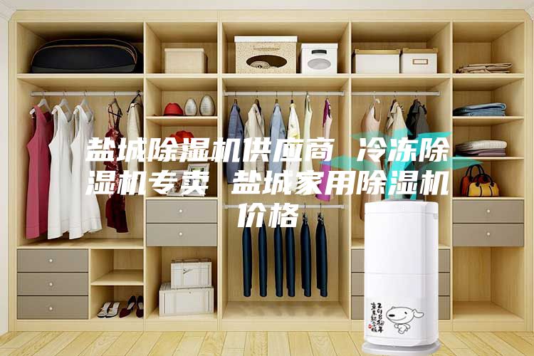 盐城除湿机供应商 冷冻除湿机专卖 盐城家用除湿机价格