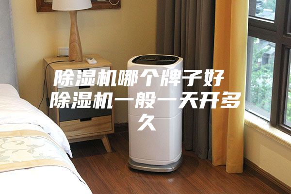 除湿机哪个牌子好 除湿机一般一天开多久