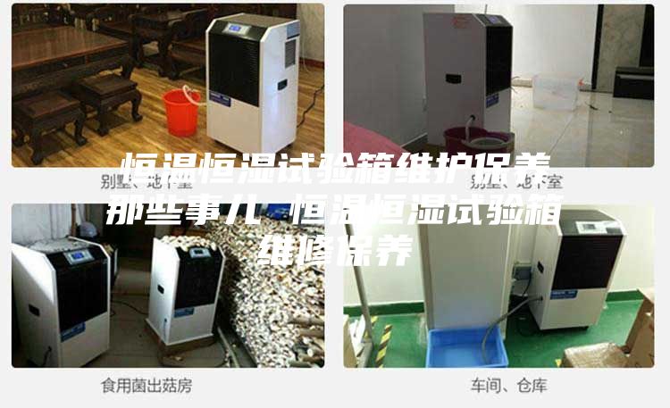 恒温恒湿试验箱维护保养那些事儿 恒温恒湿试验箱维修保养